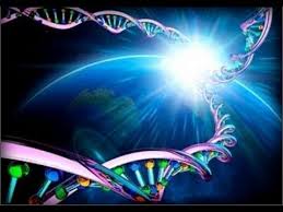This image has an empty alt attribute; its file name is dna.jpeg